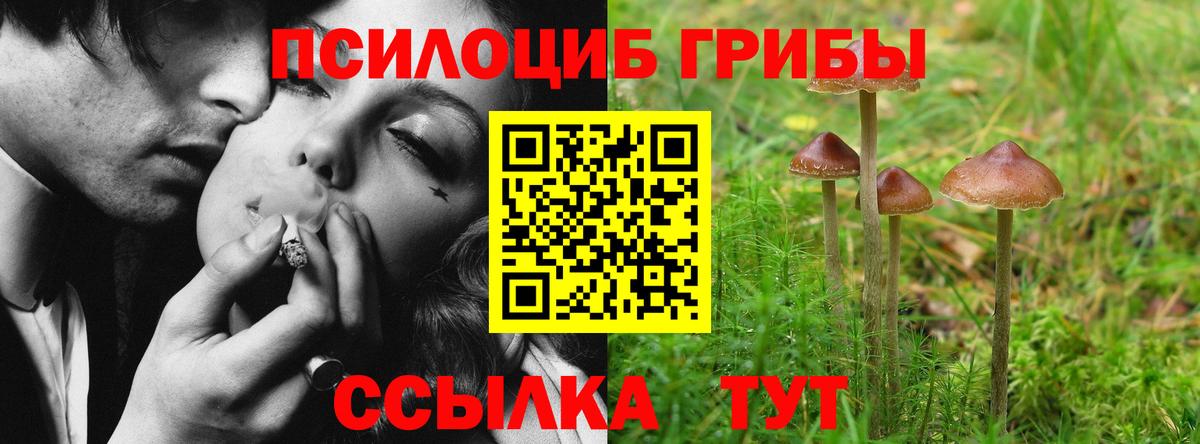 Галлюциногенные грибы GOLDEN TEACHER  Вход с VPN  Москва 