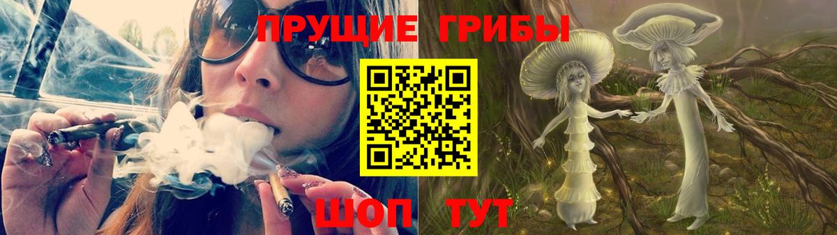 Галлюциногенные грибы Psilocybe Москва